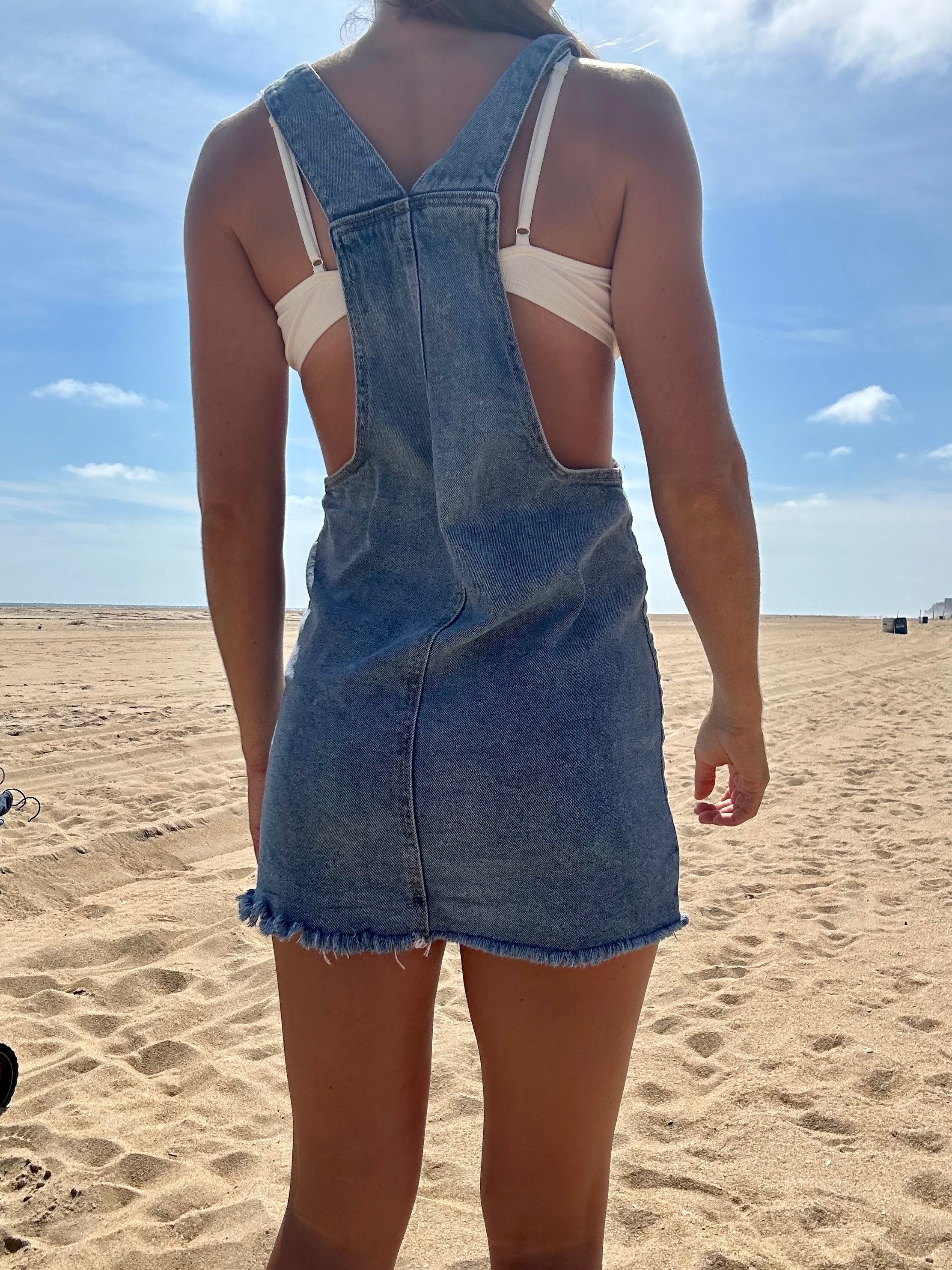 Fishy Overall Dress